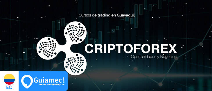 cursos de forex en ecuador